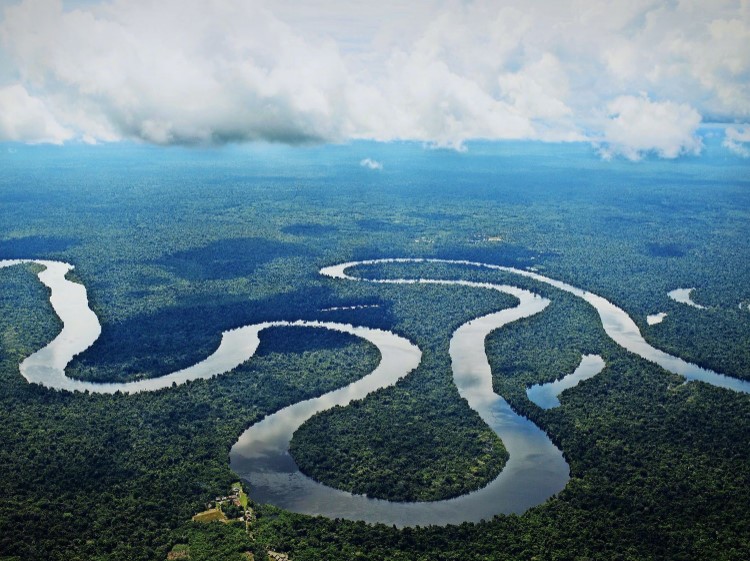 амазонка цікаві факти