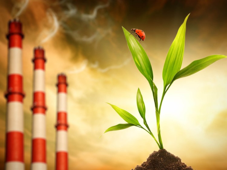 Цікаві факти про екологію